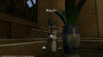 FFXIV_1338567127.jpg
