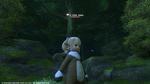 FFXIV_1340169893.jpg