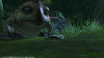 FFXIV_1340170012.jpg