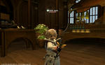 FFXIV_1347558977.jpg