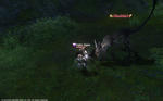 FFXIV_1349195460.jpg