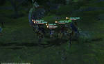 FFXIV_1349186561.jpg