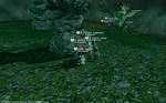 FFXIV_1350131927.jpg