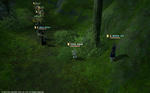 FFXIV_1350810100.jpg