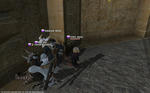 FFXIV_1352562569.jpg