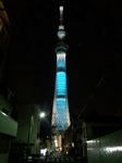 121120-cel.jpg