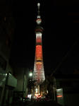DSC_0290cel.jpg