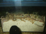 DSCF0013.jpg
