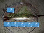 DSCF0023.jpg