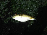DSCF00019.jpg
