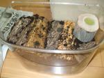 e2d4b095.jpg