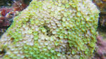 IMGP0254a.jpg