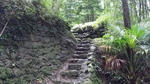 IMGP0269a.jpg