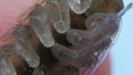 IMGP0290a.jpg