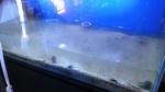IMGP0410a.jpg
