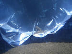 IMGP0686.jpg