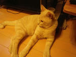 IMGP0699.jpg