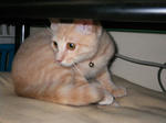 IMGP0509.jpg