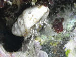 IMGP0754.jpg