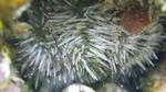 IMGP0760.jpg