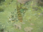 448df68c.jpg