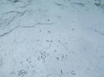 IMGP0778.jpg