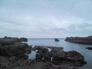 NEC_0052.JPG