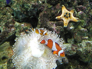 NEC_0058.JPG