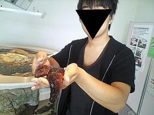 NEC_0069_anathr.JPG