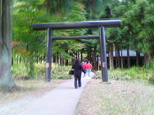 ec059c26.JPG
