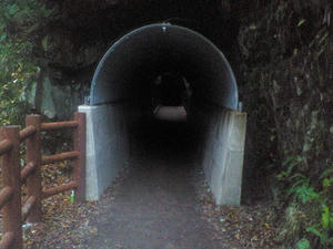 406b985d.JPG