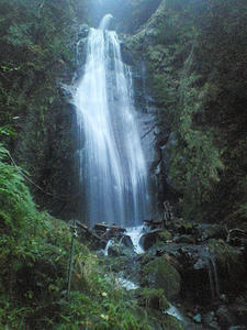NEC_0081.JPG