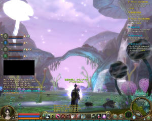 Aion0009.jpg