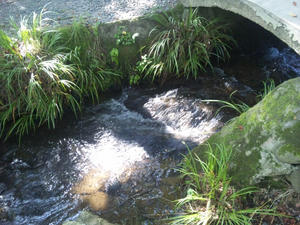DVC00003.jpg