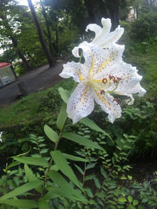 DVC00001.jpg