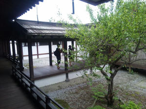 DVC00059.jpg