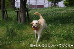 IMGP0187.JPG