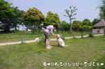 IMGP0196.JPG