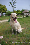 IMGP0197.JPG