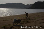 IMGP0205.JPG
