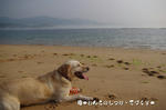 IMGP0210.JPG