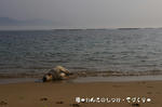 IMGP0214.JPG