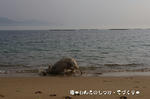 IMGP0215.JPG
