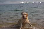 IMGP0217.JPG