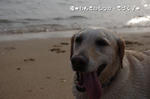 IMGP0225.JPG