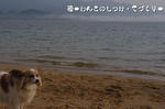 IMGP0252.JPG