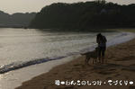 IMGP0263.JPG