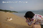IMGP0265.JPG