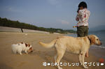 IMGP5203.JPG