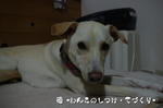 IMGP0655.JPG